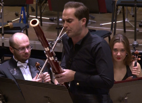 Jan Vičar - Petrovy kameny